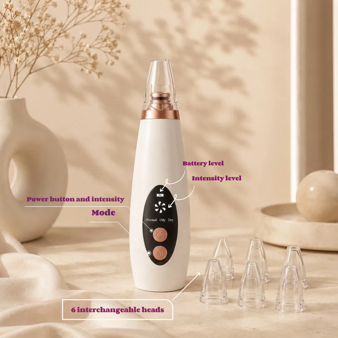 Vacuum Pore Cleaner